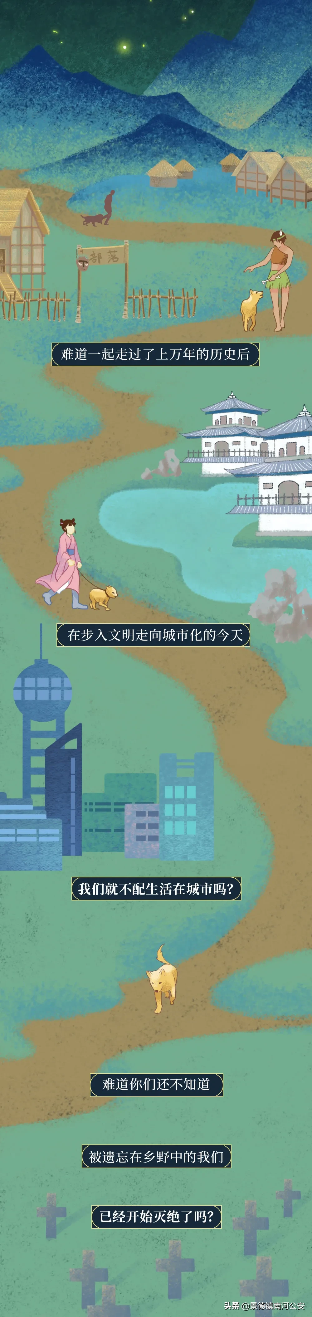 你凭什么看不起中国土狗？