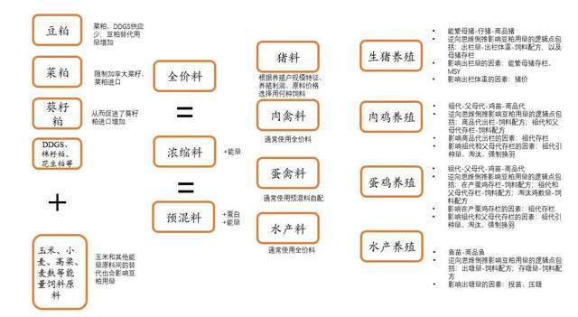 豆油被外豆掌控！7月将到1000万吨南美大豆，释放两大市场信息