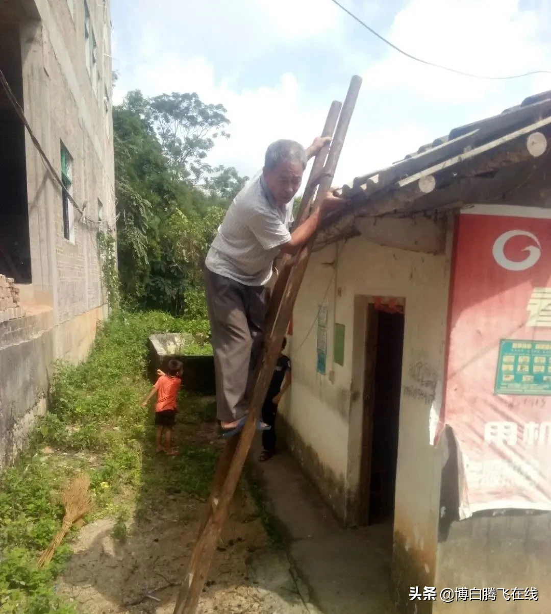 暖心！大树根部被蛀空，危及住户房屋安全，这些博白人立即出动…