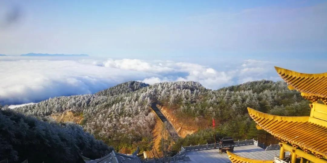 美哭｜3月2日天岳幕阜山现大面积雾凇美景，晶莹剔透美极了.