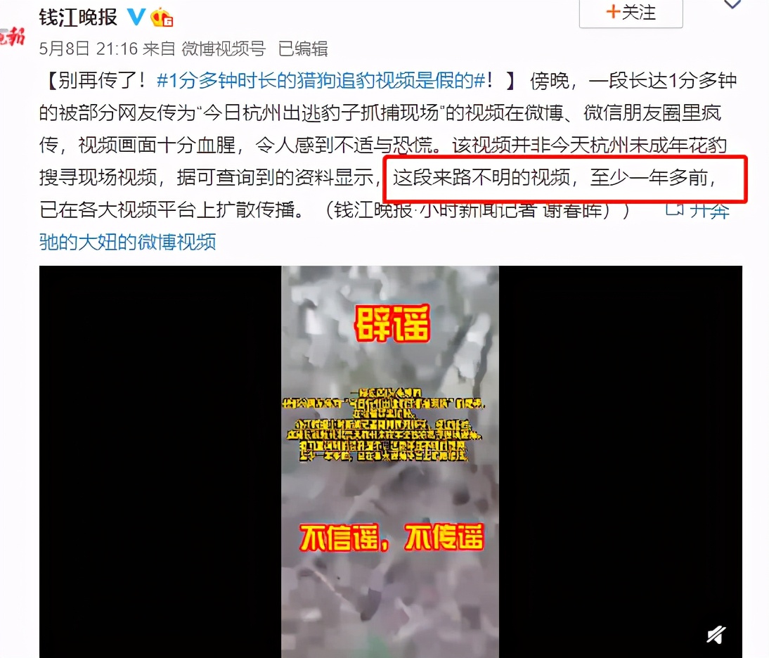 杭州“瞒豹”事件，愣把所有人当傻子
