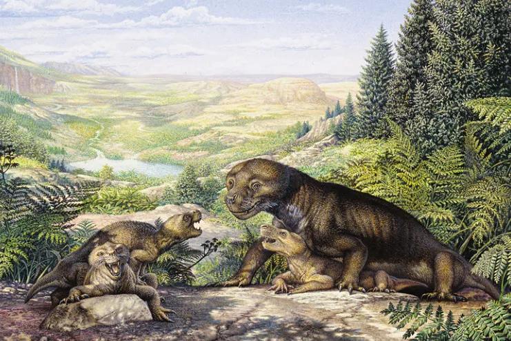 人類為何隻吃食草動物的肉，而很少吃食肉動物？