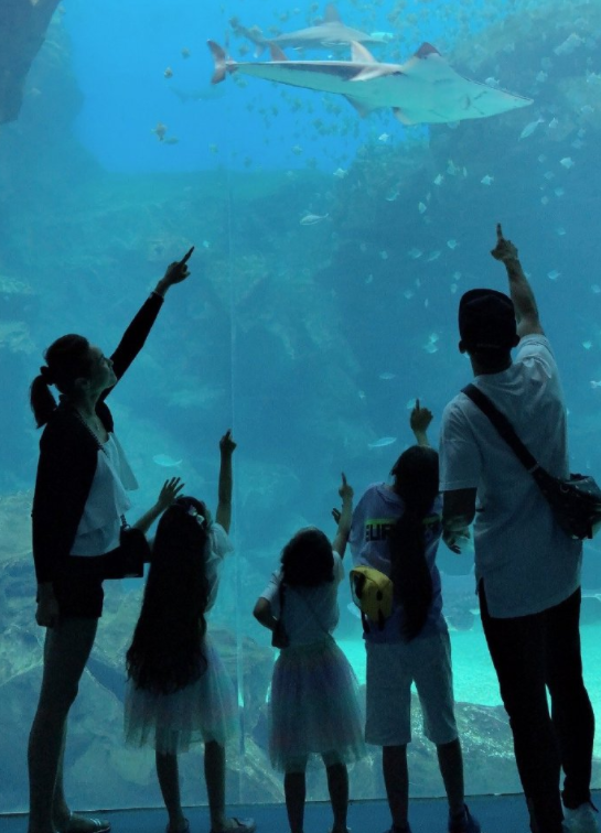 刘畊宏妻子自曝产后大出血，生三胎长九颗子宫肌瘤，无奈切除子宫