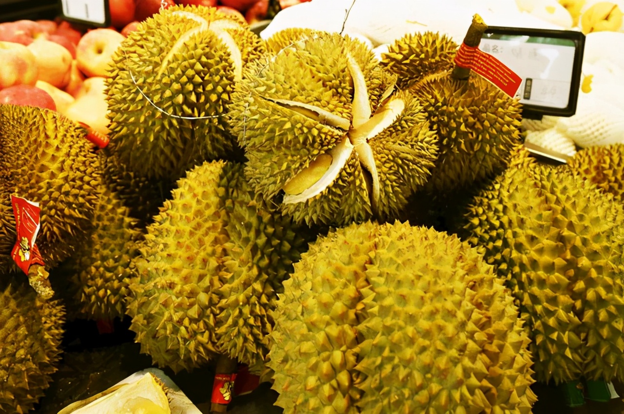買榴蓮就挑“母”的，皮薄肉厚，牢記4個小技巧，老闆看你是內行