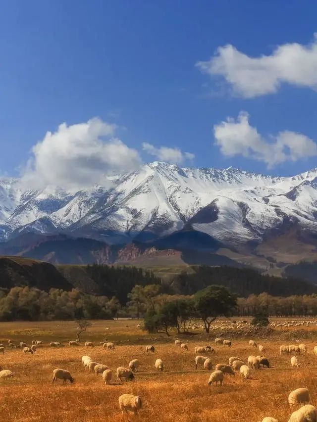 9月最佳旅行地出炉！国内最美的8个地方，看到第一个就想出发了