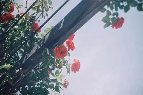 安慰人心情不好的话