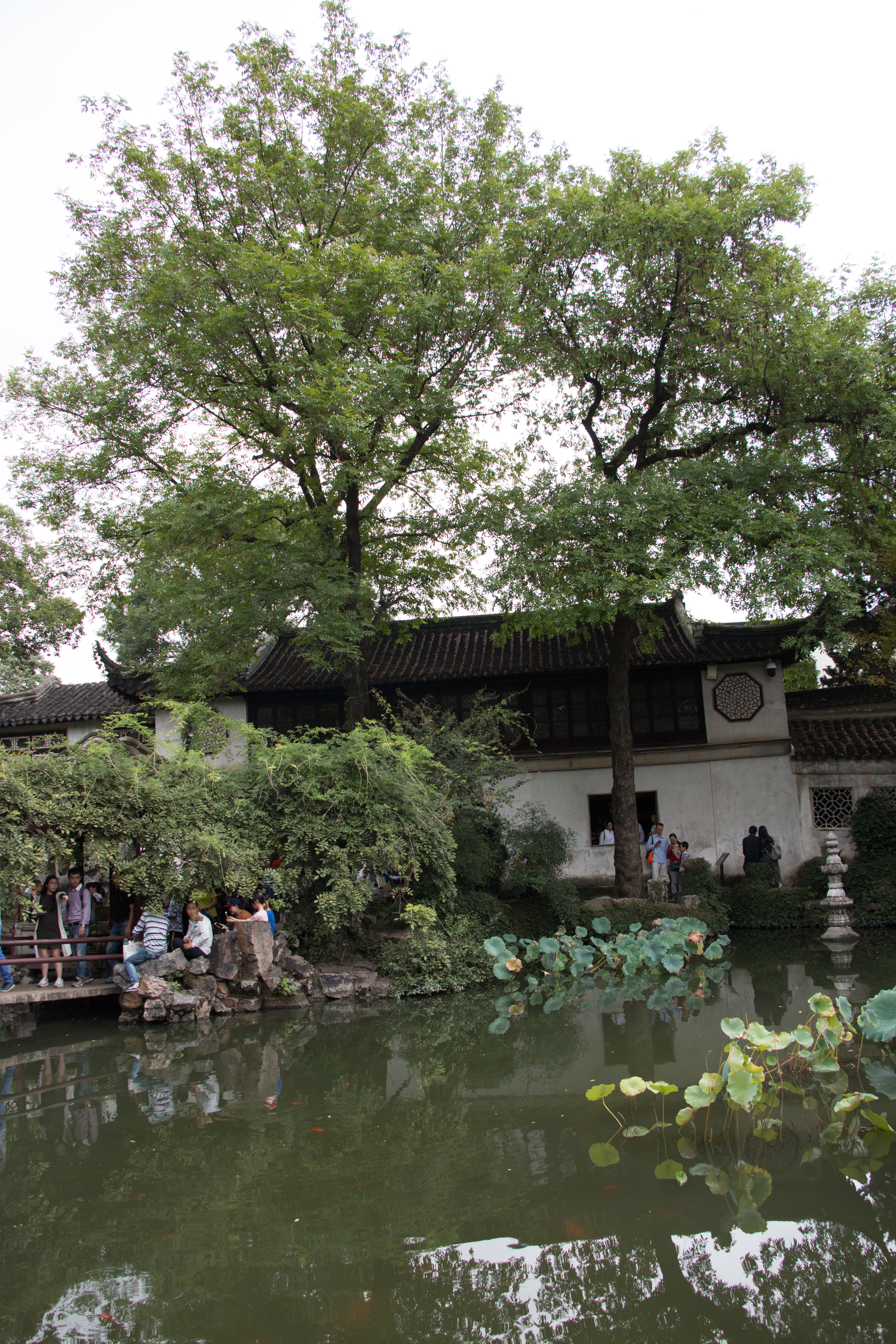 蘇州留園，吳下名園之冠，中國四大名園，世界建筑空間藝術典范