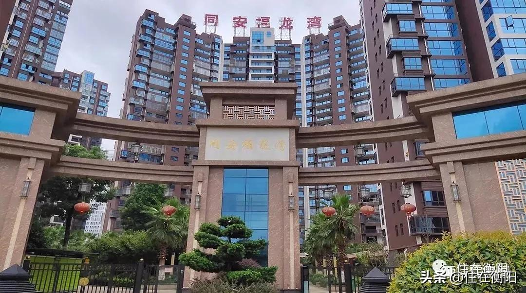 刚需莫慌!市区“高性价比”楼盘盘点,最低3字头起