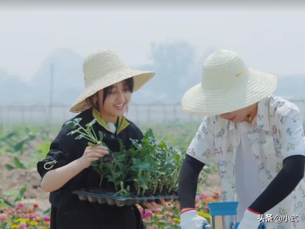 《向往的生活4》郭麒麟和张子枫也太搭配了，网