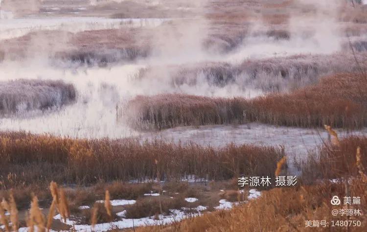 寒烟轻笼，白鹤戏水，民勤石羊河国家湿地公园宛如仙境一般