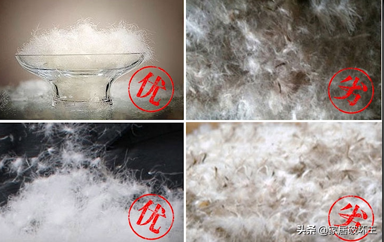幾百到幾千的羽絨被，到底差在哪里？