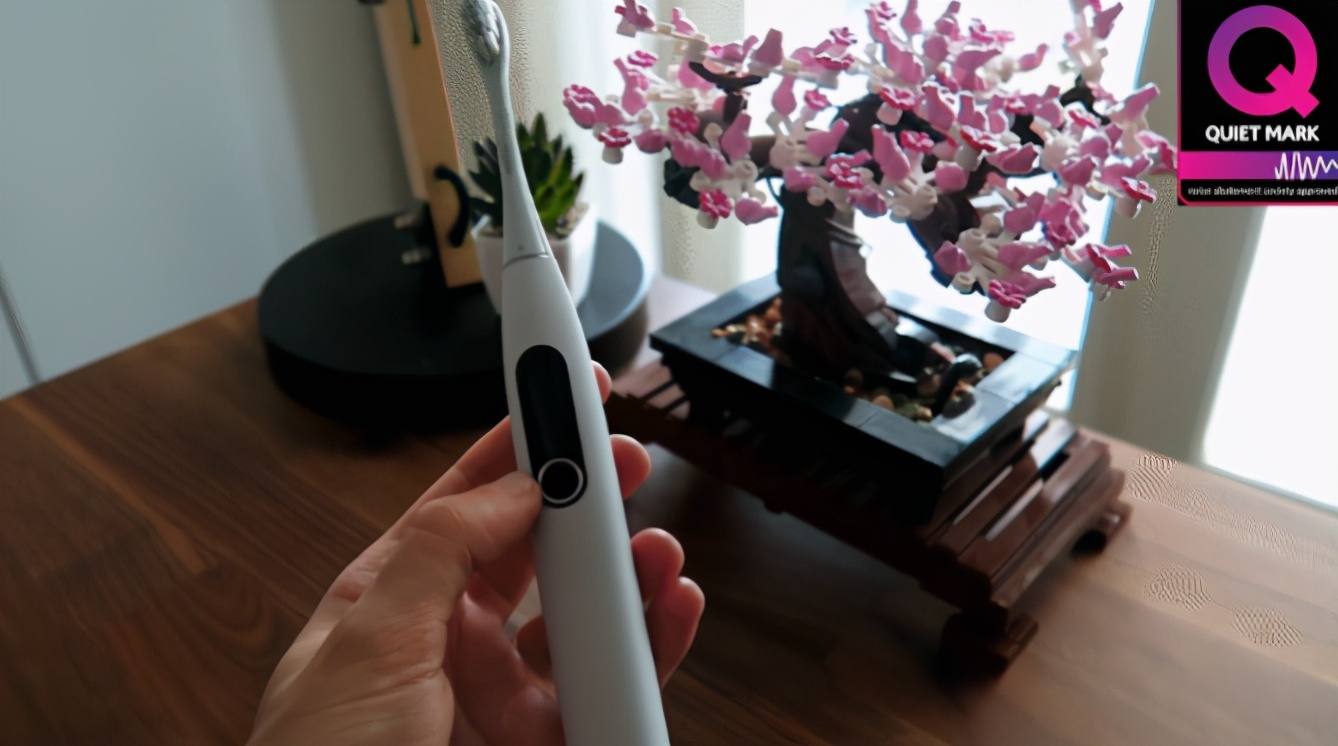 意大利365网站靠谱不_365bet规则_365禁用取消提款什么意思：Oclean X Pro旗舰版是智能电动牙刷静音之   王