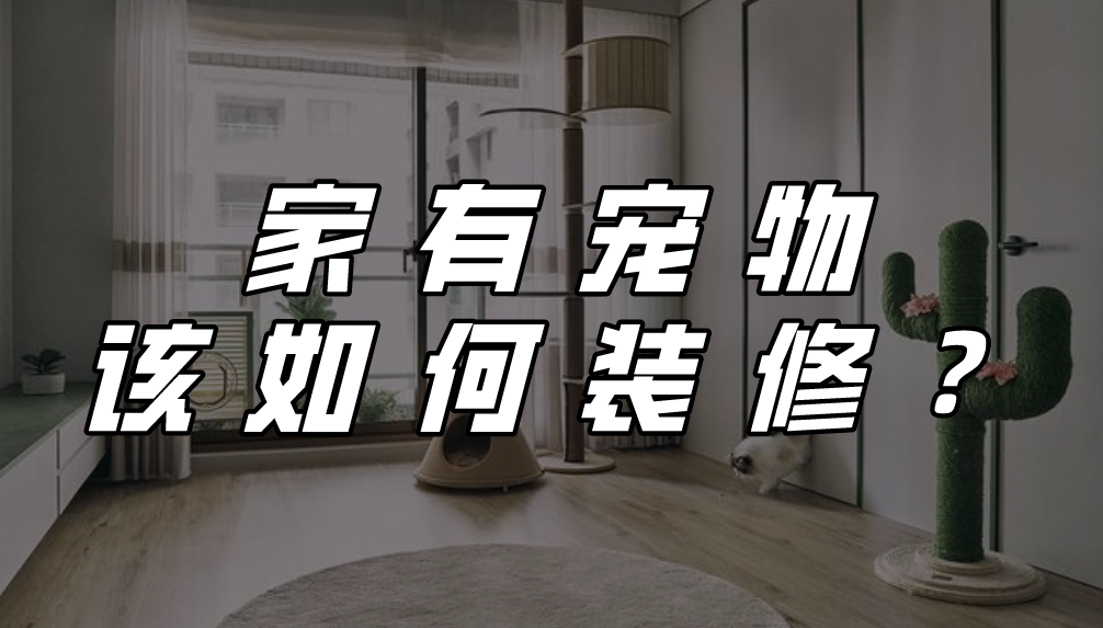 养宠家庭的“装修秘笈”┃ 东方一木科普