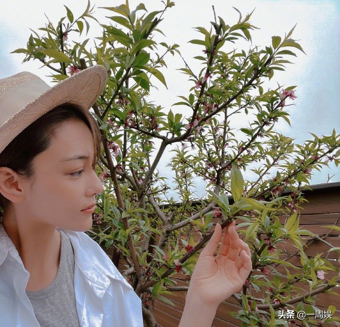 Zhang Xin grants to plant dish inside villa, go to the fields does farm work to exceed ground connection gas, the area arrives greatly can plant peach tree