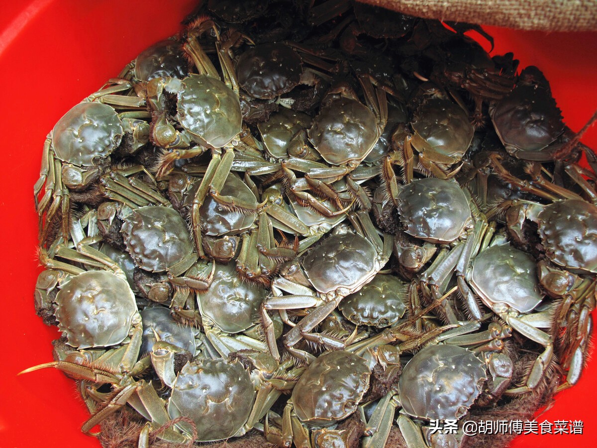 When buying crabs, should I choose a green shell or a yellow shell?The