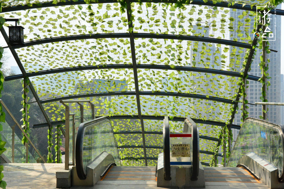 重庆百年古迹被毁，只为建职业教育中心，佛图关再无夜雨寺