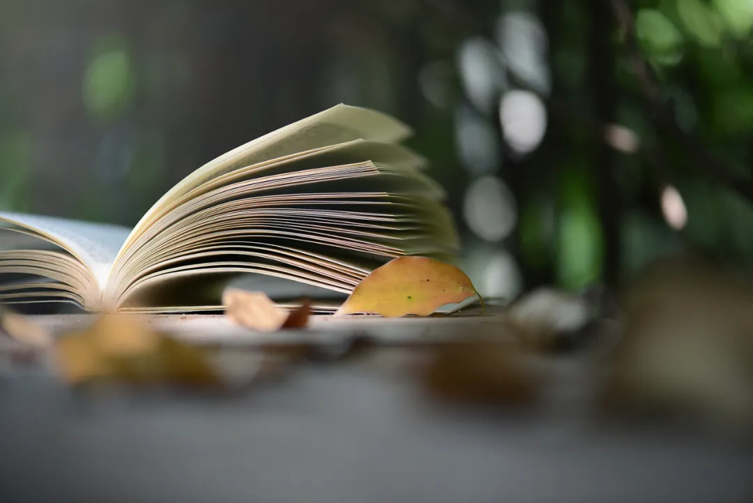 暑假整本书阅读读后感怎么写?送你一份超强攻略!(附范文)