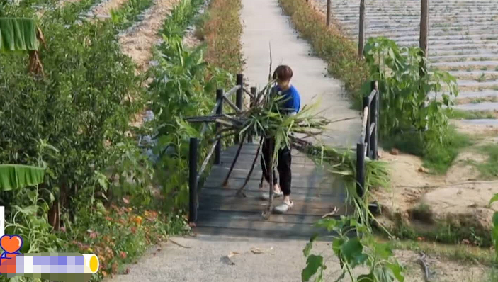 任嘉伦做客《向往》，看到穿的衣服，这才是参