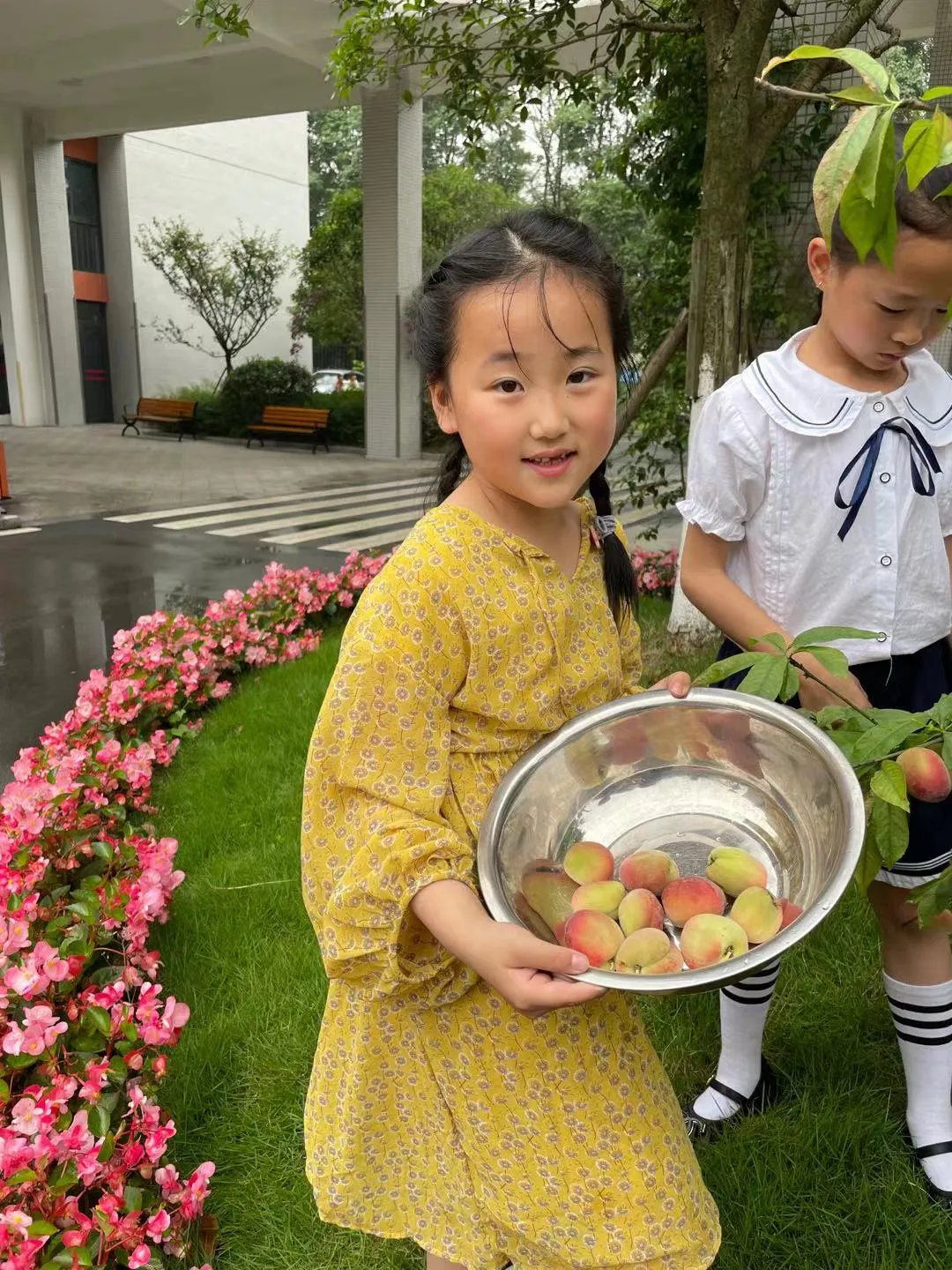 快乐劳动 幸福采摘——双流区实验小学外国语学校劳动课程