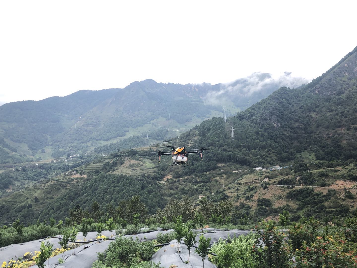 云南省怒江州：高山峡谷中走出脱贫路