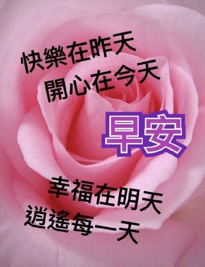 清新的空气，轻轻的风，醉人的花香，美的享受，早上好