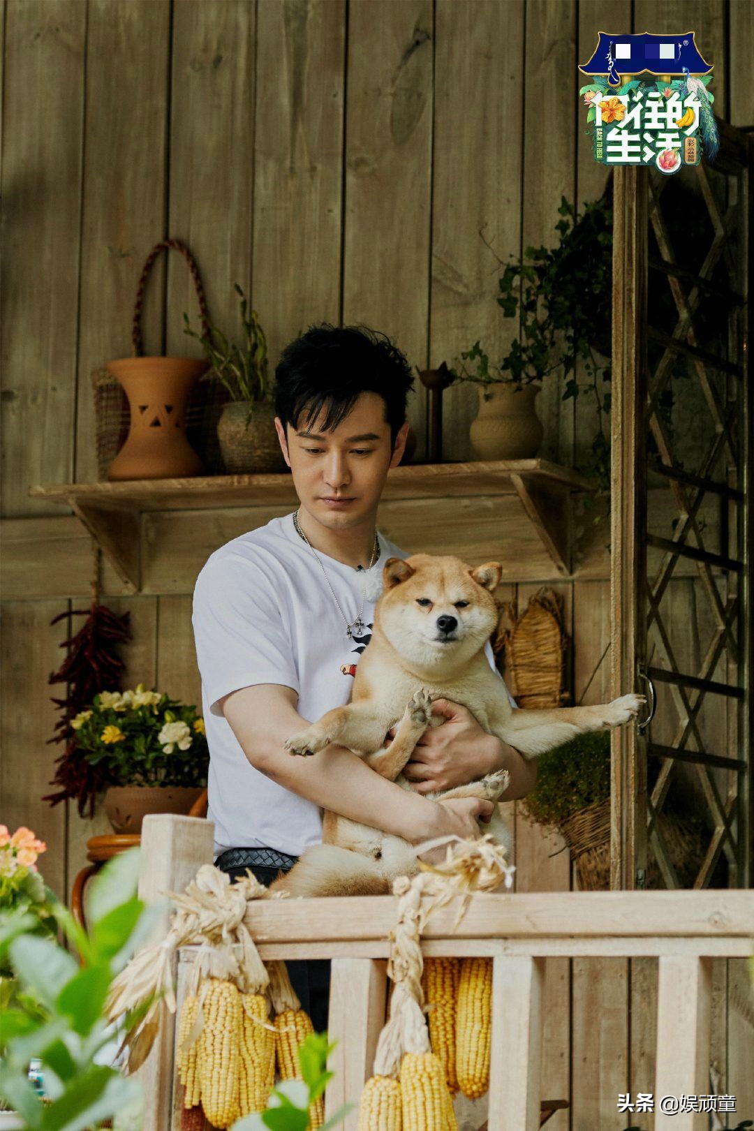 《向往》中黄晓明给何炅打伞，看到何炅的表情