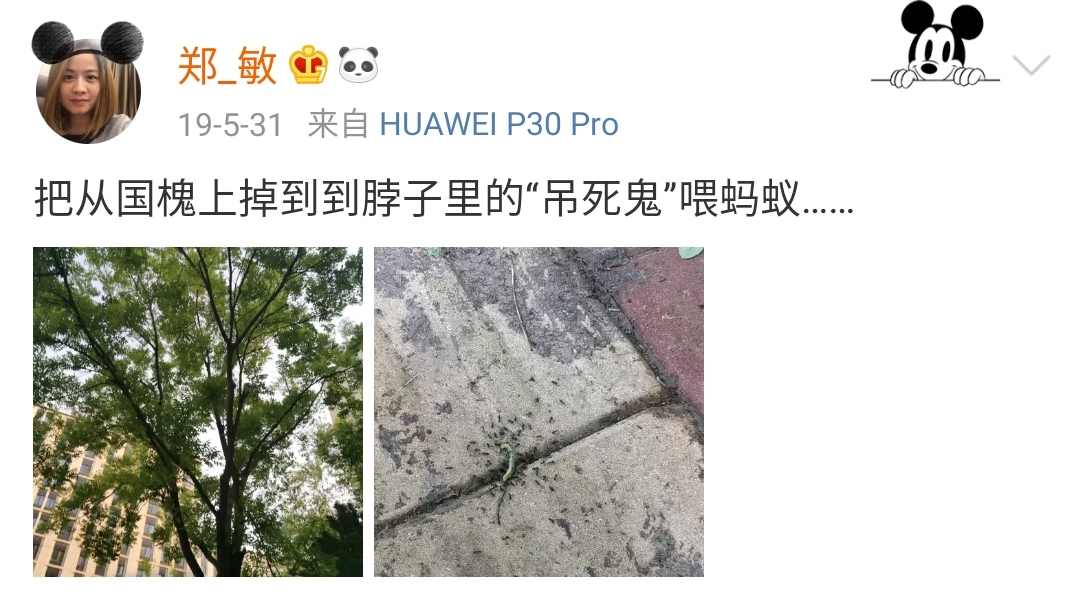 Zheng Min of Yue Yunpeng & " stannic marriage " 10 years: Small quick, one if see first, one's whole life one two-men