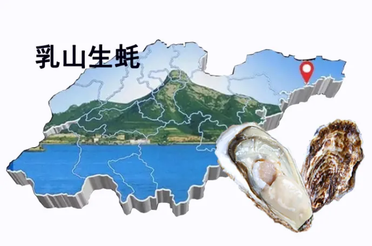 Lacteal hill oyster takes off a beautiful ▎ the self-discipline of unripe oyster of hill of a high grade breast