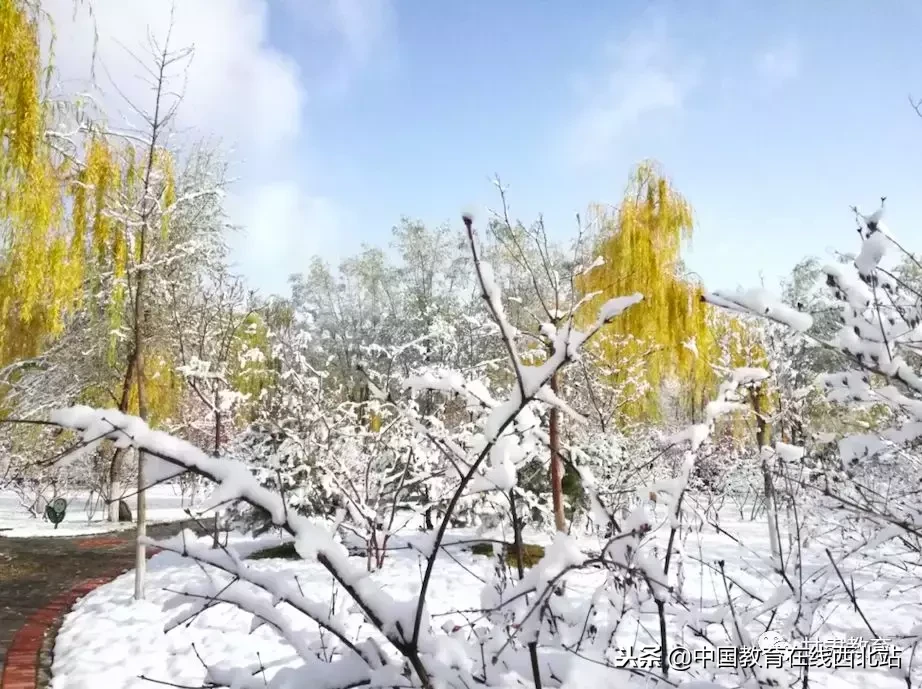 甘肃初雪|甘肃18所高校初学雪景大PK,快来看看有你的母校没?