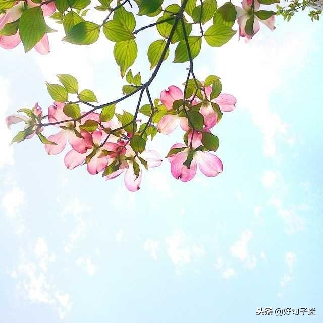 最好最简短的唯美句子 励志的句子致自己简短图片