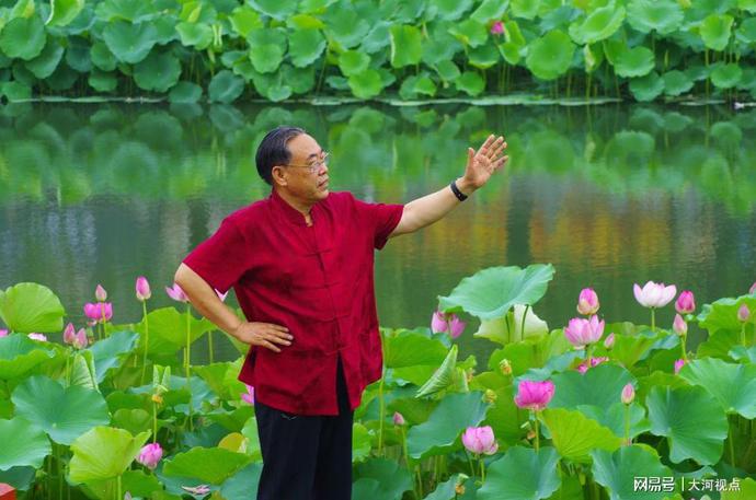 「发现许昌之美」莲城许昌荷花芳华绝代，让你看一眼惊艳整个夏天
