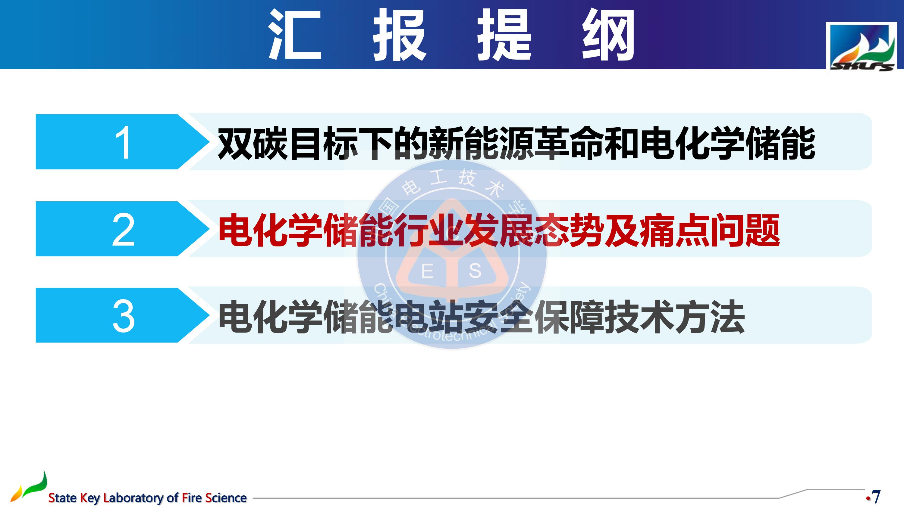 中国科学技术大学孙金华教授：电化学储能发展的痛点与解决途径