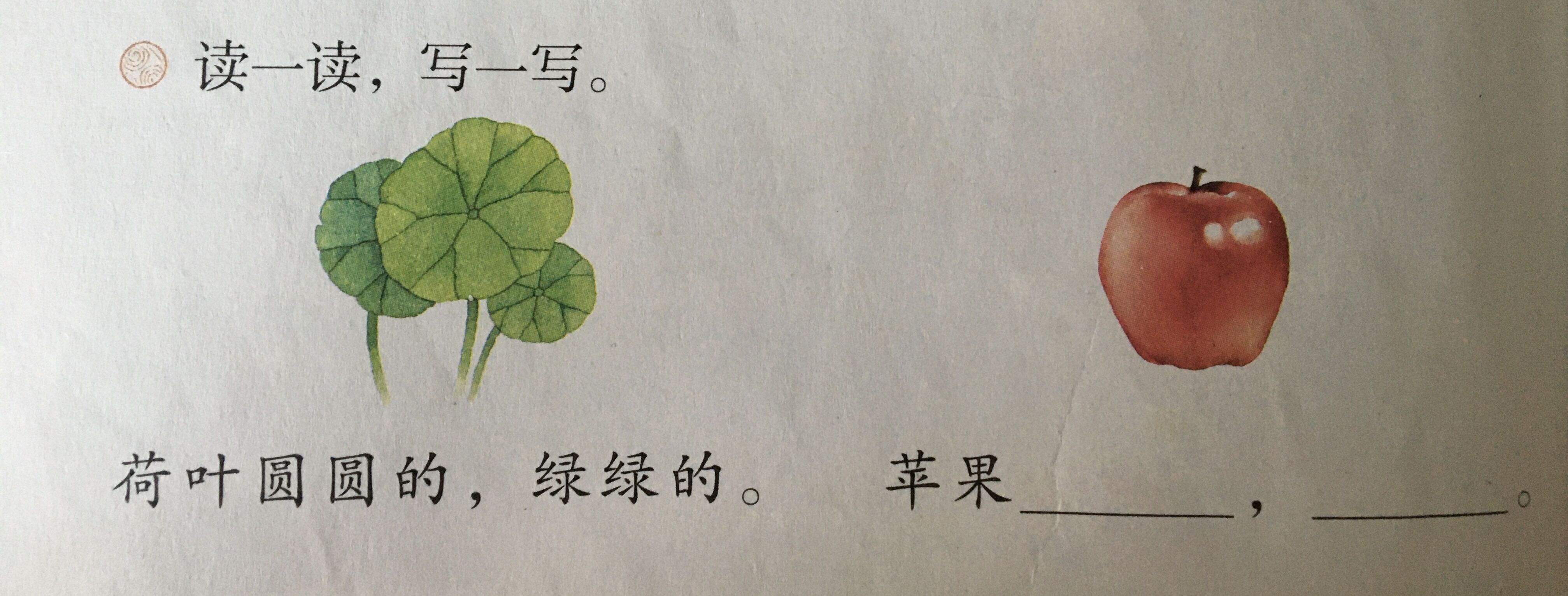 教师面试无生试讲教案分享（低段现代文阅读教学）