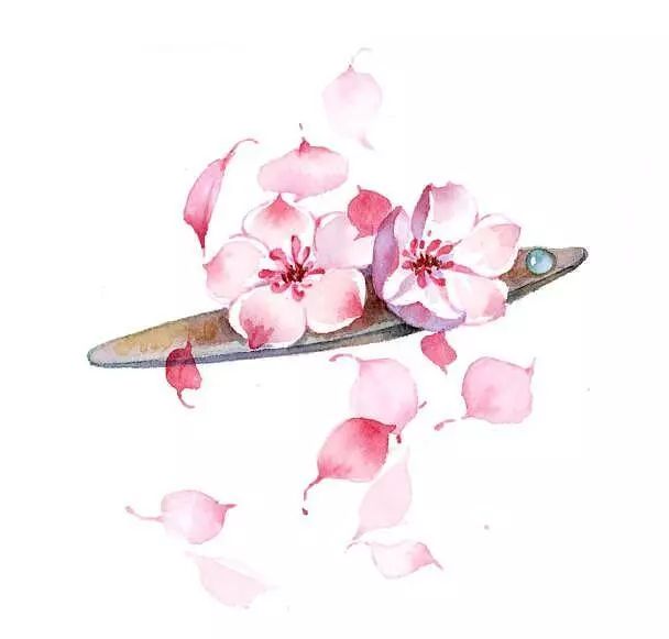 古风美物插画 | 裁为合欢扇，团团似明月