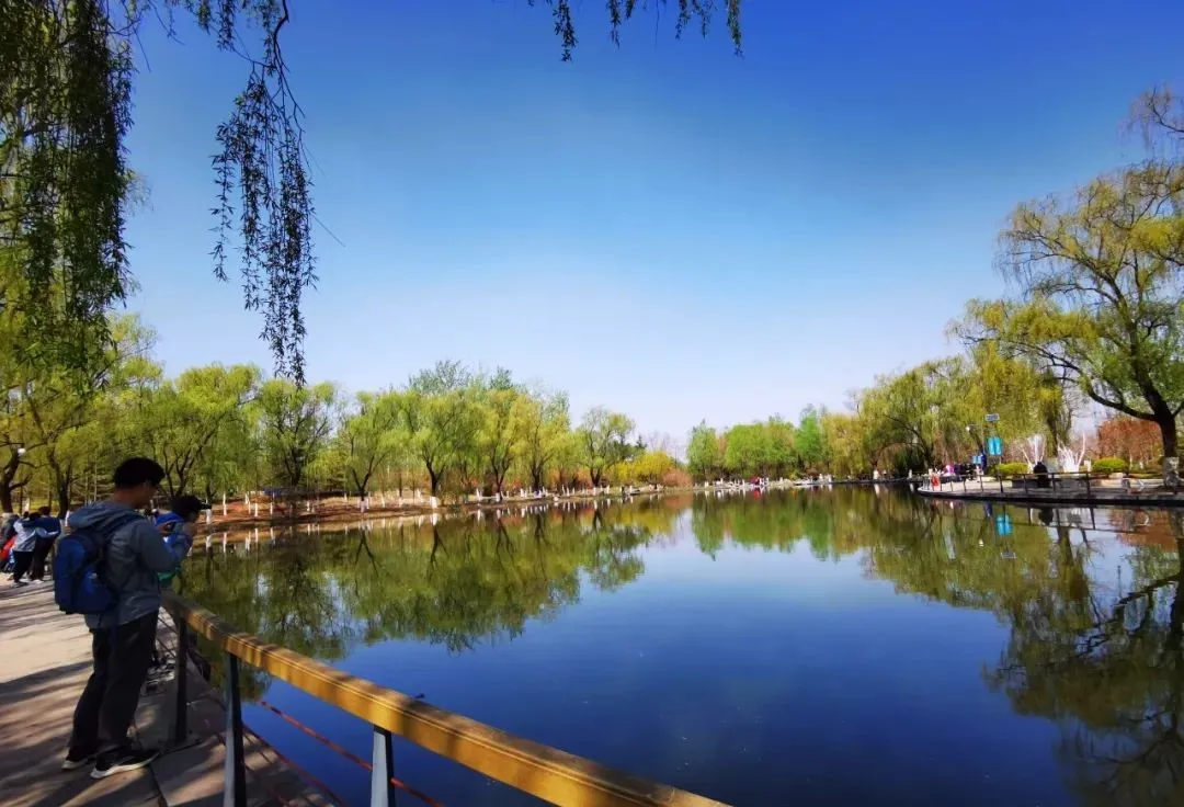 醉美人间四月天!这是济南章丘的四月美景