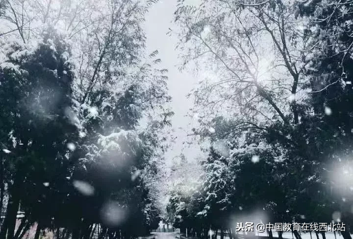 甘肃初雪|甘肃18所高校初学雪景大PK,快来看看有你的母校没?