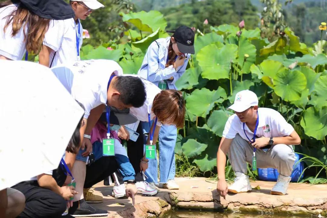 美丽乡村｜“三下乡”——这是一封来自共青团昆明市委的感谢信