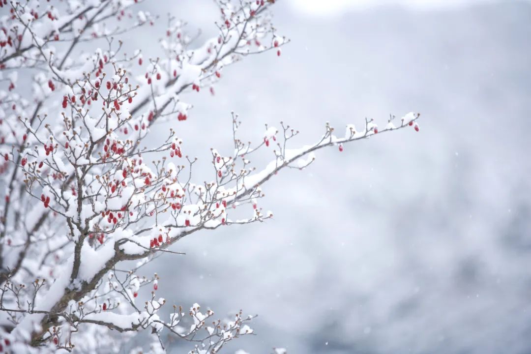 40位知名诗人，一人一句雪的诗词，治愈了整个冬天-第8张图片-非凡网
