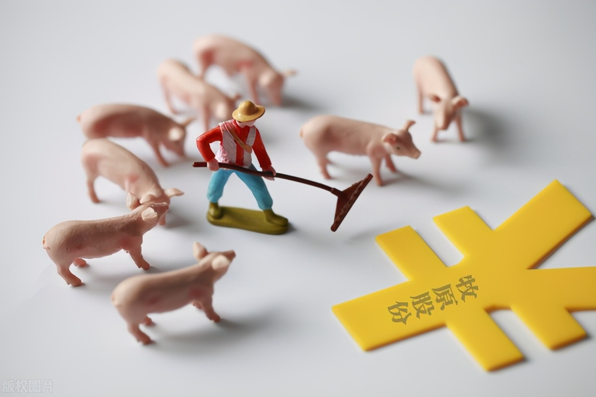 牧原股份屡创新高，貌似已打破猪周期的束缚，三五年内看不到顶