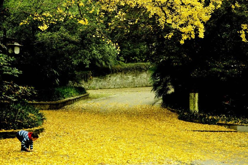 ������һ�����ߺ죬�˳�&ldquo;���µ�һ����&rdquo;�������ɮ���򿰱ȹʹ�