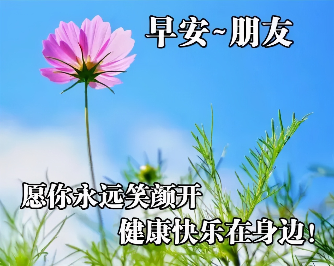 早上好问候语动态表情图文字，微信新的漂亮祝福语图片图片