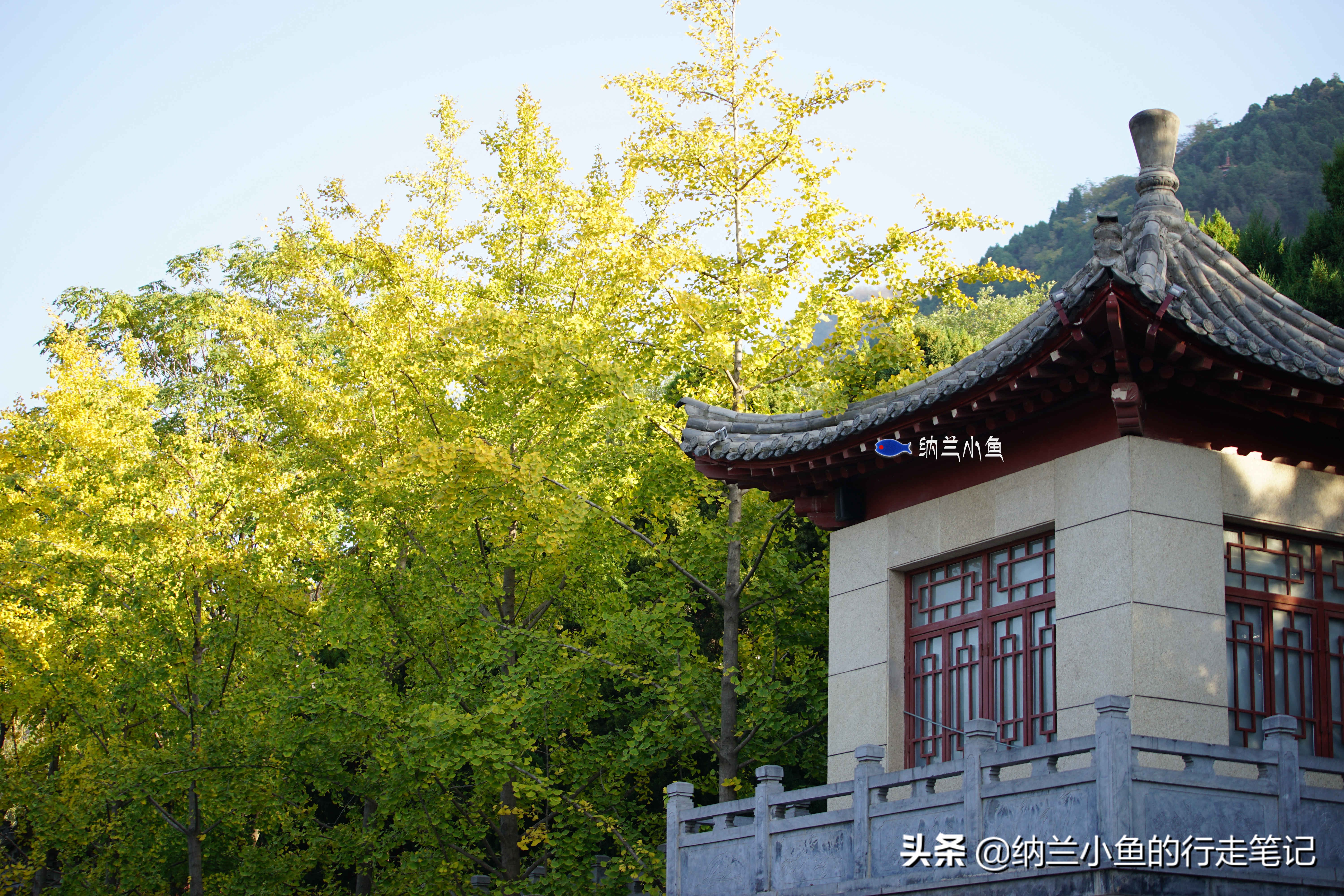 西安骊山 不仅有“天下第一御泉” 还有一段流传千年的爱情故事