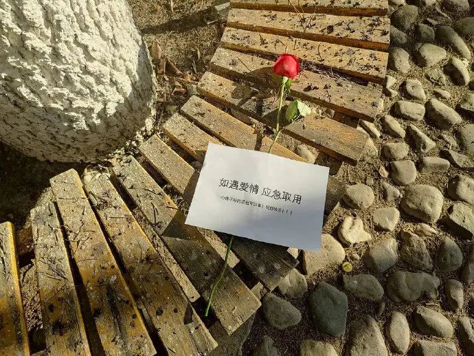 Atlas | Eider down takes the advantage that buys big drop, be clear at a glance with a ha is breathed out