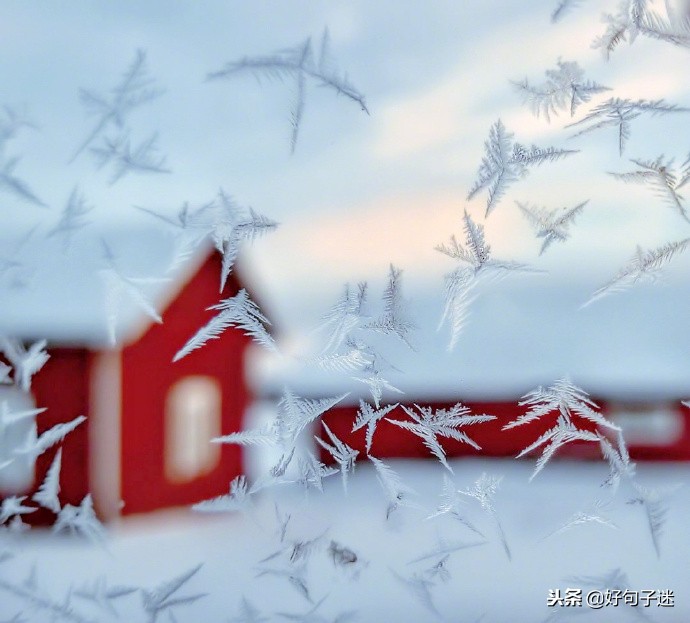 抖音下雪超级火的句子 雪景发朋友圈配一句话图片