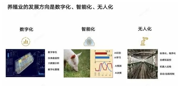 华为手机零件订单缩减60%，只能去养猪、挖矿了！