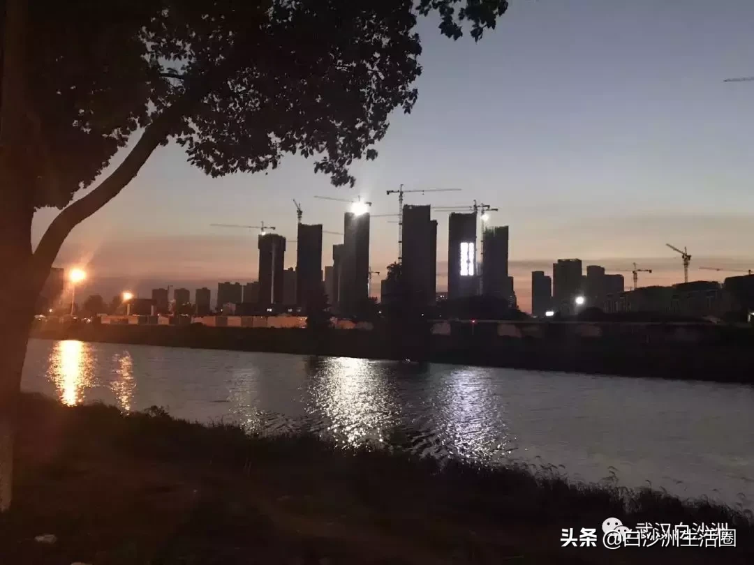 武梁路进展：本自同根生,奈何同区不同命