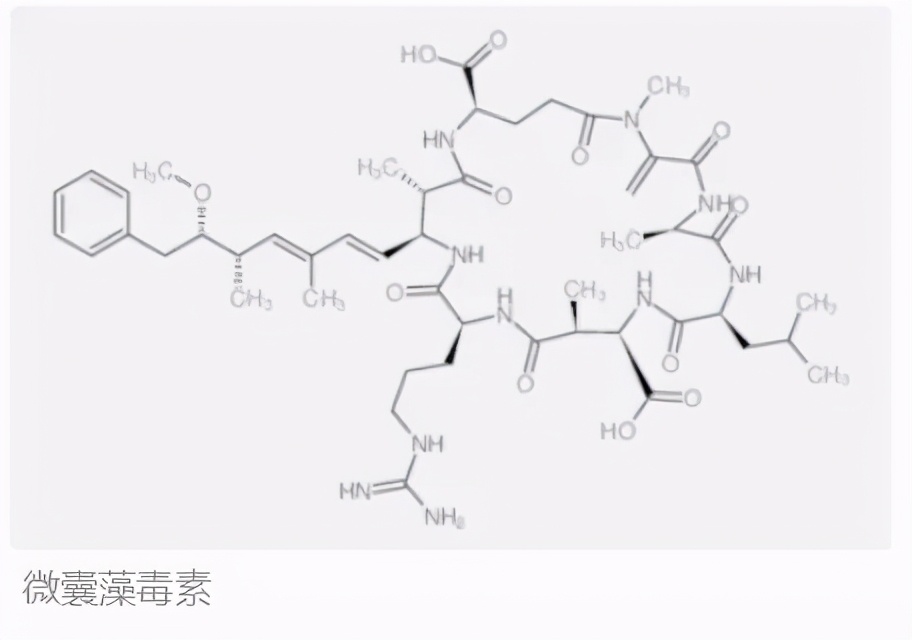 解析對蝦“白便”的防與治：斷腸空腸，漂浮著白色線狀黏性糞便