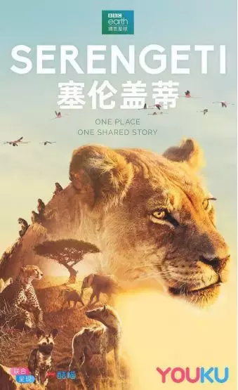 《塞伦盖蒂》:自然界的野性呼唤,第三视角下的“生存与反抗”