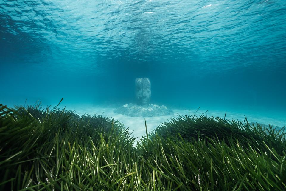 最具沉浸感的博物馆：戛纳海底生态博物馆