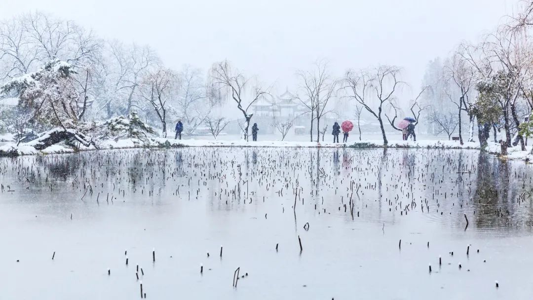 「诗词鉴赏」十首冬景的诗词，冬天的景色，在最美的诗词里-第14张图片-诗句网